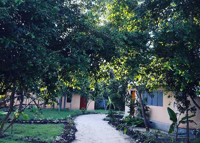 Gecko Nature Lodge Home Of Swahili Divers The Best Dive Center And Famous Gecko Restaurant