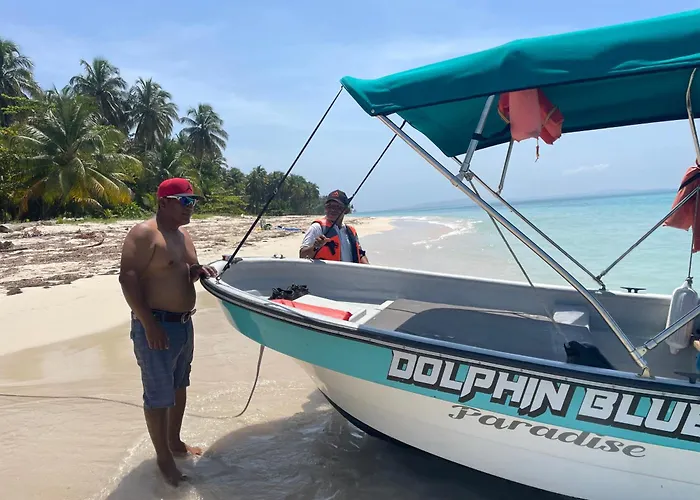 Dolphin Blue Paradise