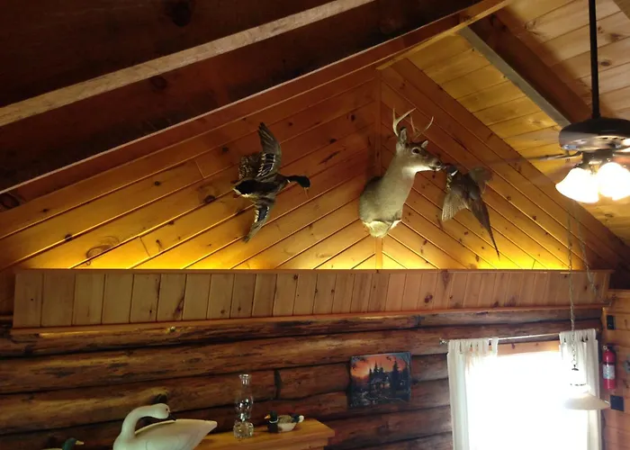 Rough Cut Lodge