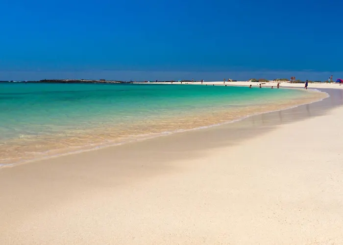 Cotillo Star By Nicolet