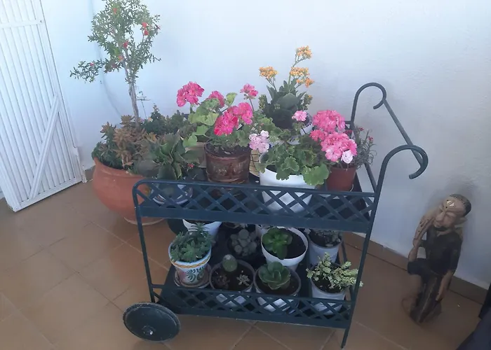 Las Gemelas de Terreros 1