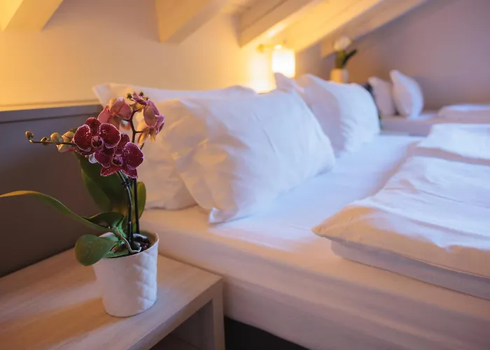 Hotel Binelli