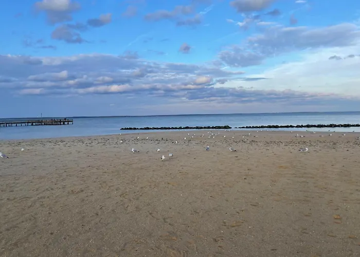 Our Happy Place In Colonial Beach