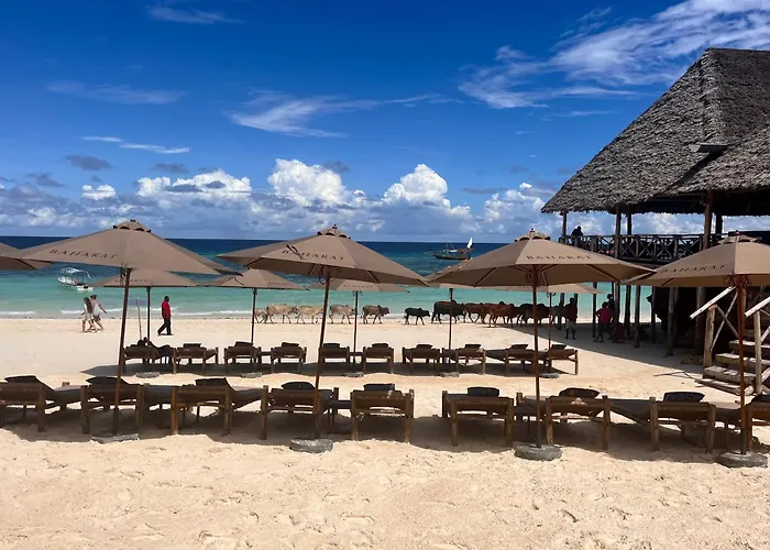 Bambam Bungalows Zanzibar