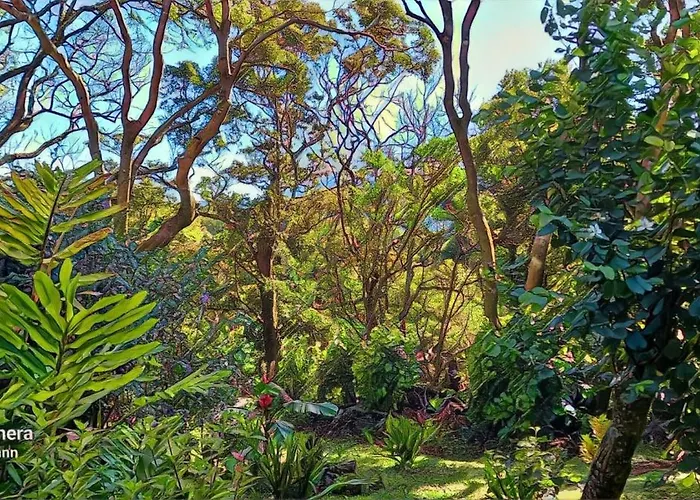 Schumann'S Resort & Park