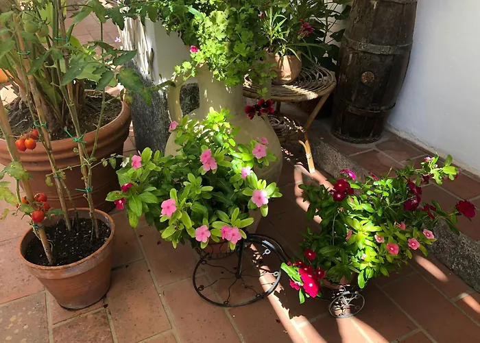 B&B Villa Anna Wunderbar