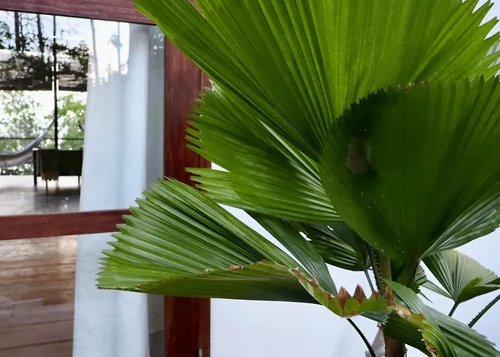 Villa Luzo&Tours