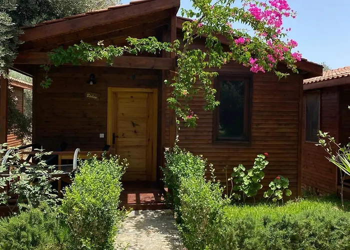 Suzi'Nin Bahcesi Bungalov Evler