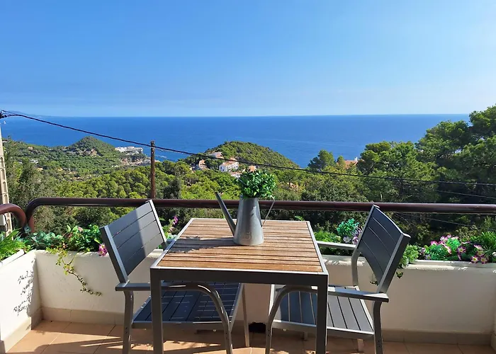 Apt Con Vistas Alas Islas Medas