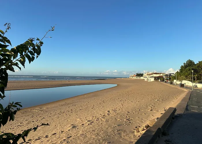Studio Neuf à 2 pas de la plage