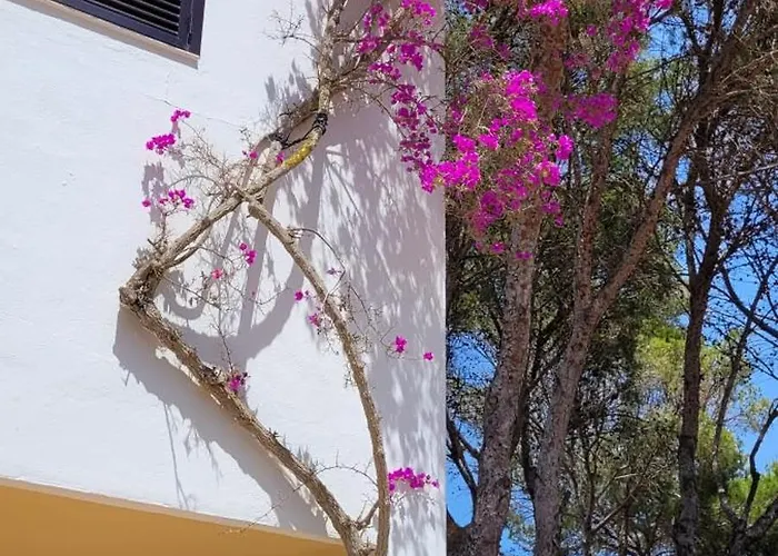 Club Cala Azul