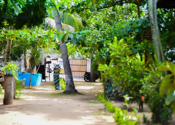 Arne'S Place