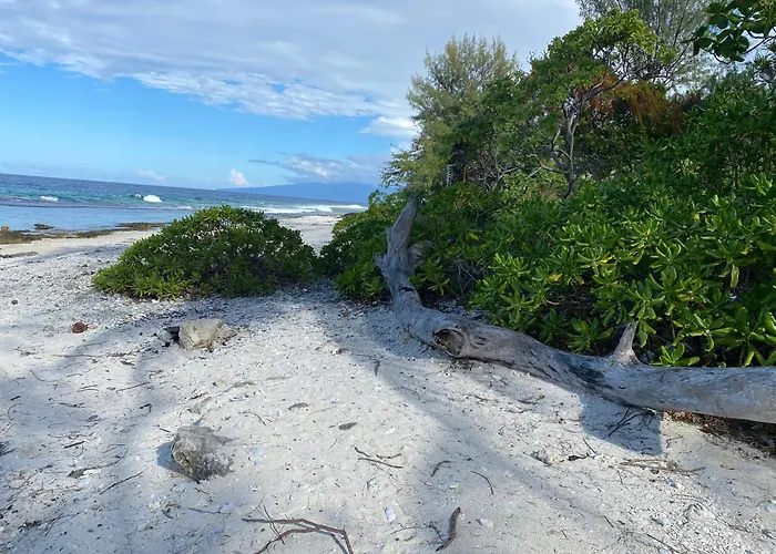 Moorea Chill And Beach Lodge