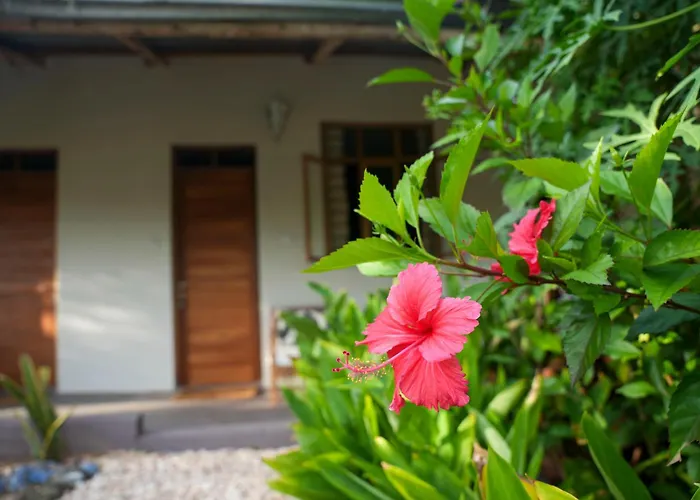Kendwa Breeze Bungalows