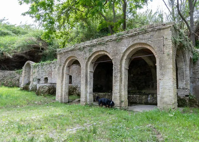 Altamira Residence