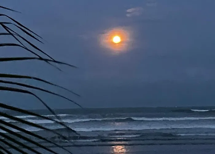 Sirena'S Beach & Surf Club