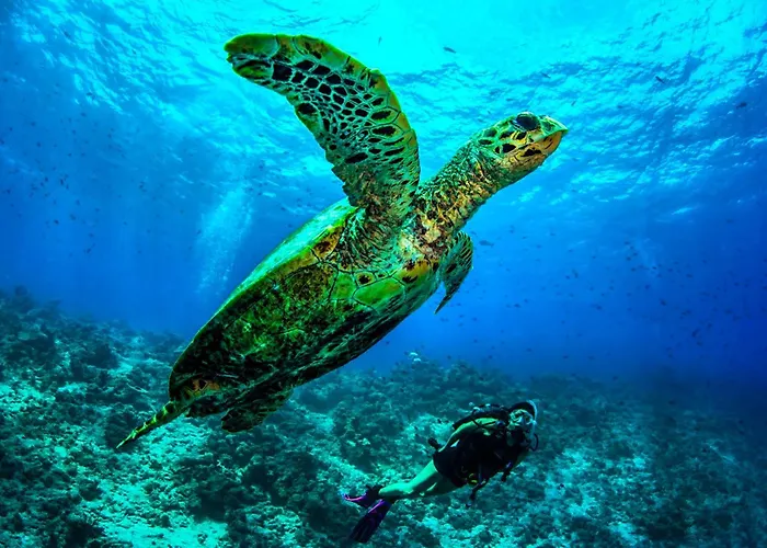 Dusit Thani Maldives - Mudhdhoo Island, Baa Atoll