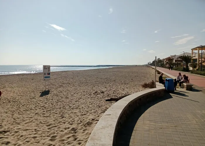 Arbocer Playa Pucol