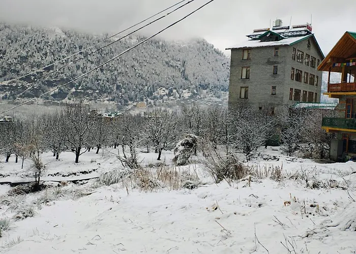 Thrill Venture Manali Stays End To End Himachal Experience, Explore At Your Pace! A True Hidden Gem