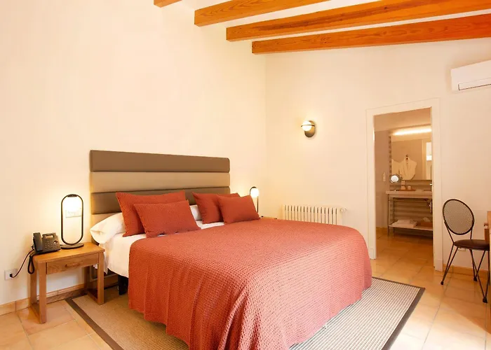 Hotel Y Apartamentos Des Puig