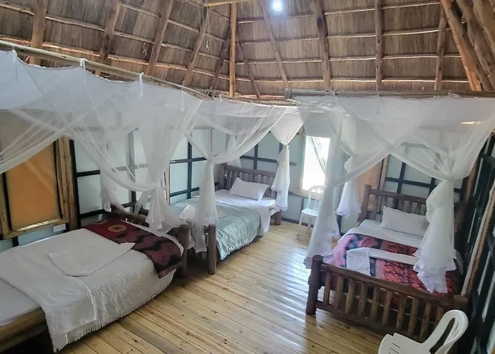Songbird Safari Lodge & Campsite