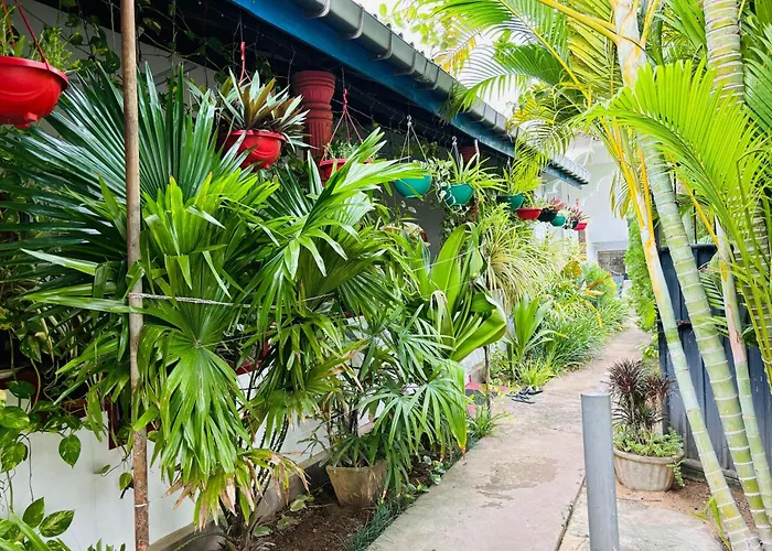 Pranu House