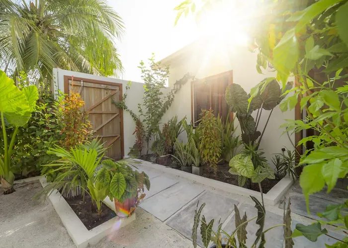 Oasis Dhigurah