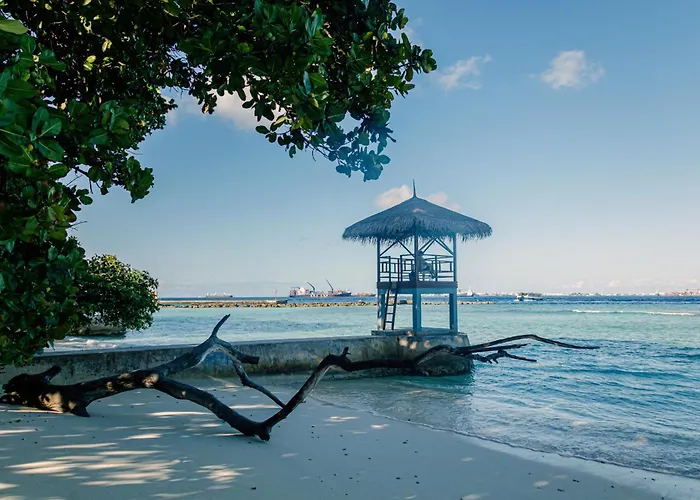 The Vinorva Maldives