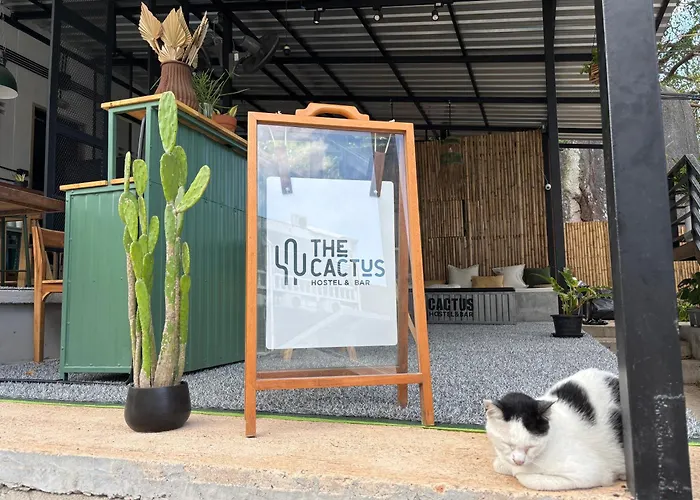 Cactus Boutique