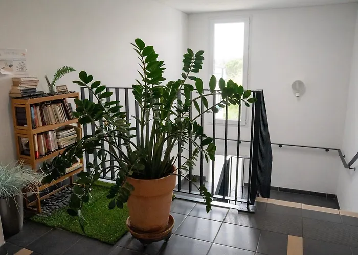 Appartement de L'Espiguette