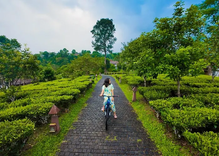 Jeevess Retreat Wayanad