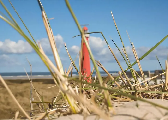 Amazing Apartment In Schiermonnikoog
