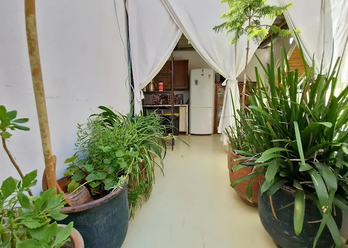 Hostel Banana