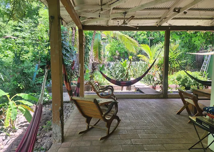 Hammock Plantation