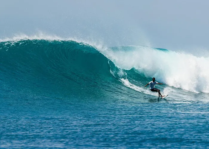 Twin Palms 'Beach House' - New Surf Front Location