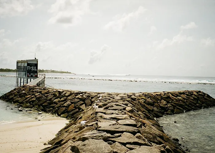 Twin Palms 'Beach House' - New Surf Front Location