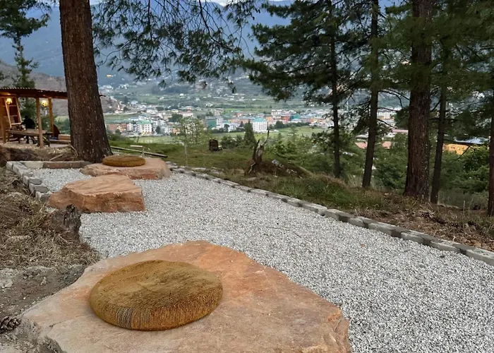 Dzi Pema