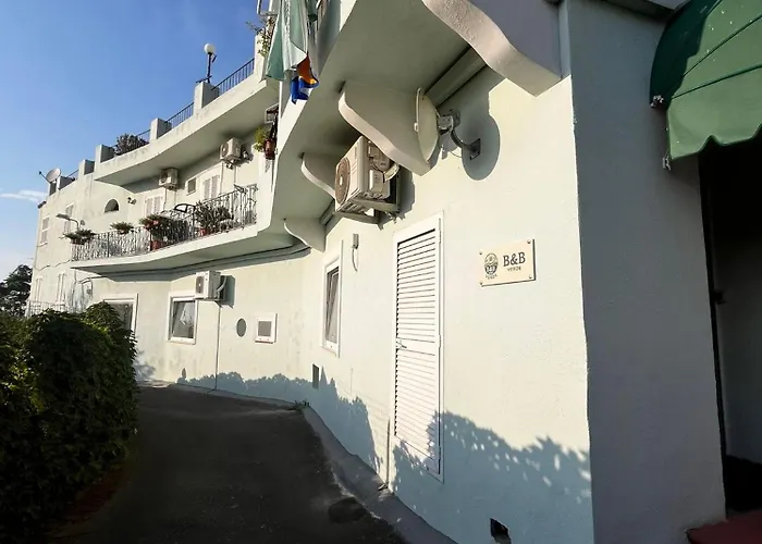 B&B Verde