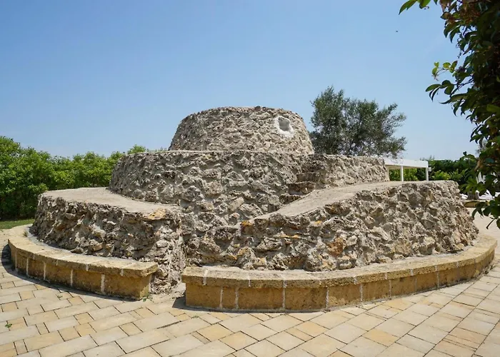 L'Ulivo e la Stella