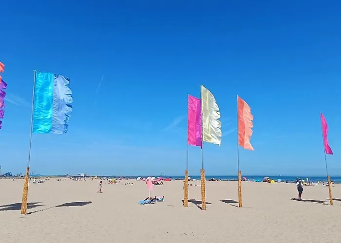 Ti Malo - studio proche plage Dunkerque