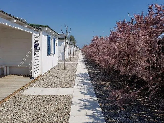 Aquarius Policoro