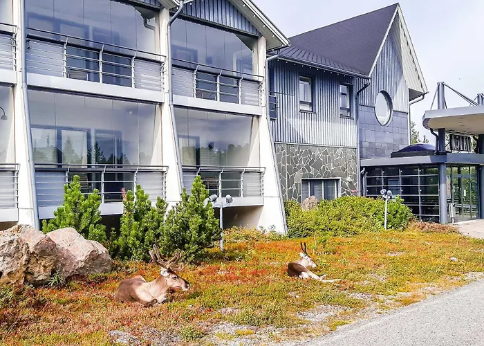 Hotel K5 Levi And K5 Villas