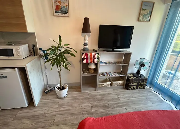 Résidence les goélettes studio l escale