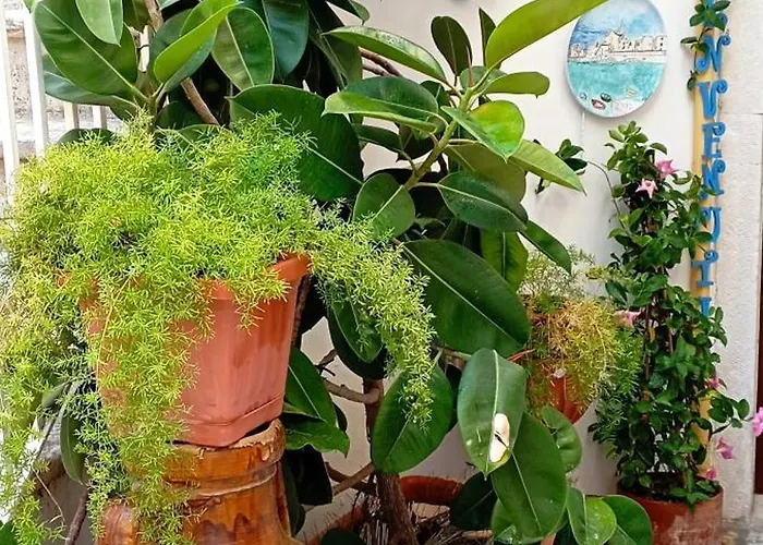 A Casa Mia