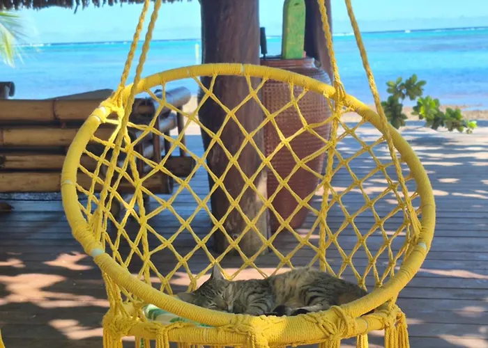 Fare Tokoau Moorea