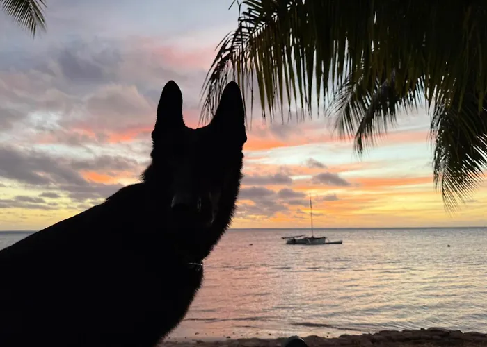 Fare Tokoau Moorea
