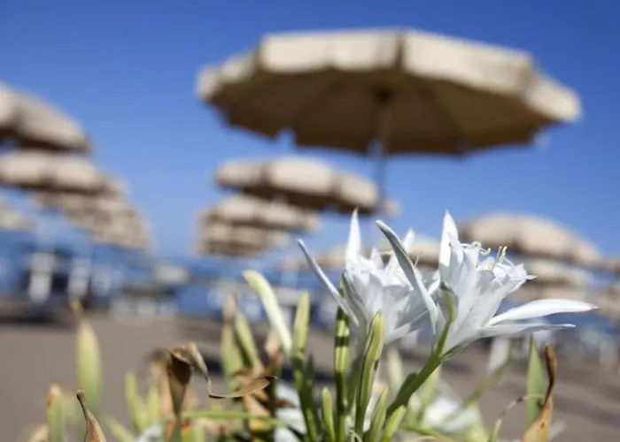 Happy Sea Home - monolocale sul mare
