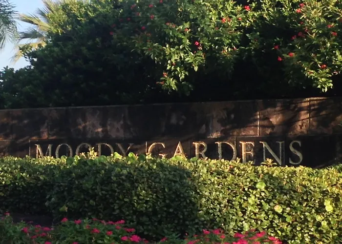 Moody Gardens Hotel Spa And Convention Center