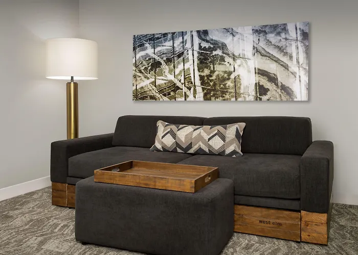 Springhill Suites By Marriott Atlanta Buford/Mall Of Georgia