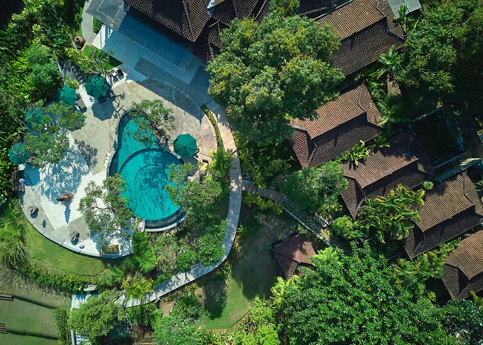The Damai